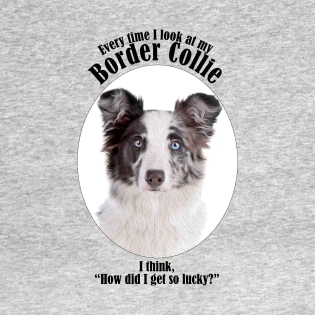 Lucky Border Collie by You Had Me At Woof